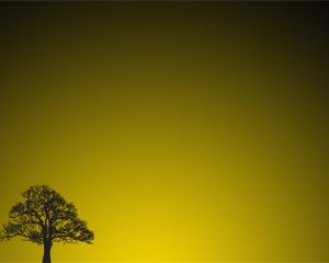 دانلود رایگان تم (قالب پاورپوینتTree Sunset)