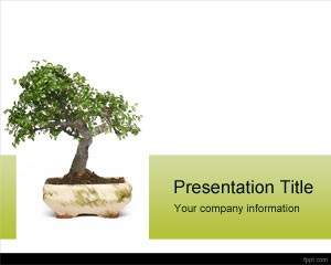 دانلود رایگان تم (قالب پاورپوینتBonsai)