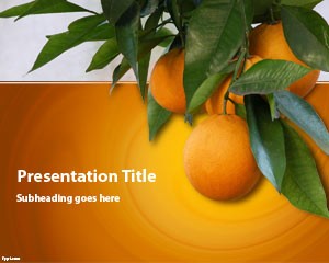 دانلود رایگان تم (قالب پاورپوینتOrange Tree)