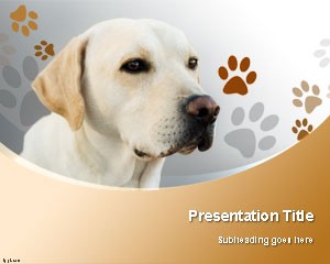 دانلود رایگان تم (قالب پاورپوینتLabrador Retriever Dog)